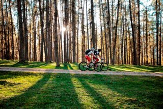 radfahren-laerchenwald-ehrwald_Tiroler_Zugspitz_Arena_UWiesmeier.jpg